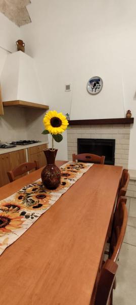A casa di Gino Molfetta